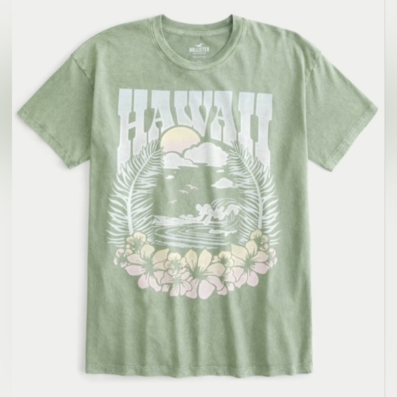 Last One 🎉 Hollister Hawaii Distressed Sage Green Oversized Graphic Tee